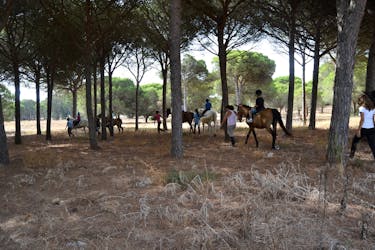 Chiclana Pine Wood Horse Ride